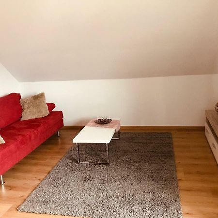 Grosses 1-Zimmer Wohlfuhl-Appartement Rednitzhembach Exterior photo